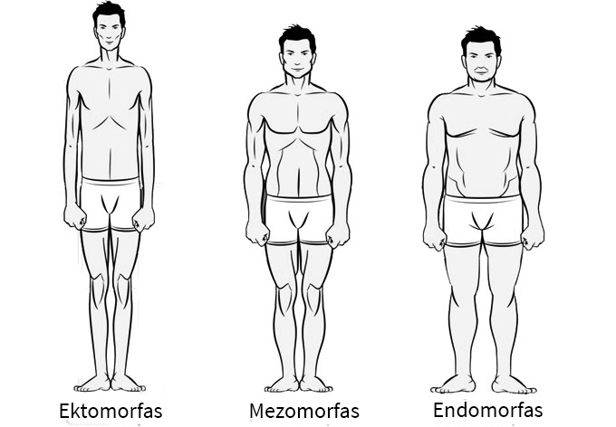 endomorfo kūno tipo svorio kritimas gali žarnyno obstrukcija sukelti svorio netekimą