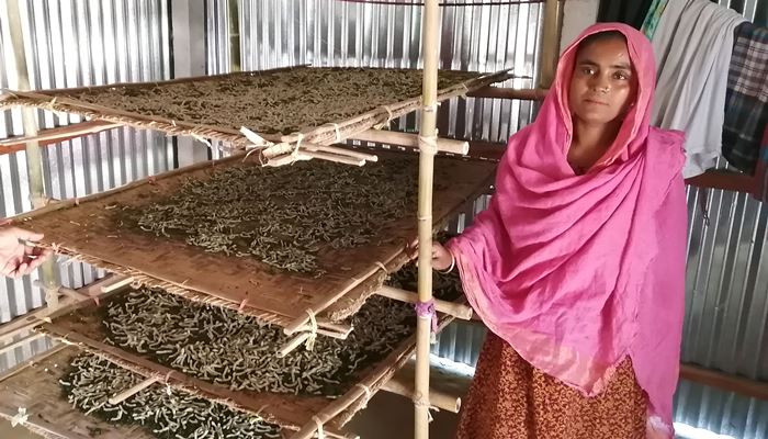 somaya reece svorio netekimo arbata svorio metimo sėkmės istorijos virš 60 metų