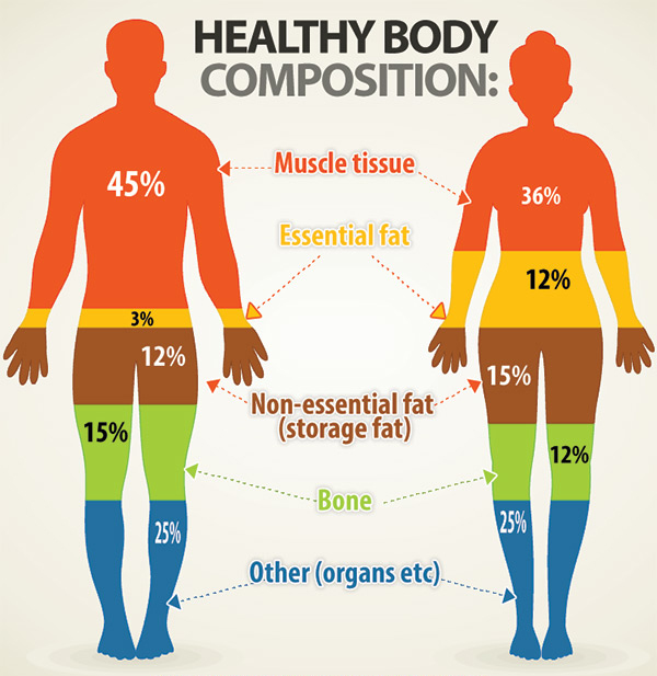 kūno riebalų procentinė nuostolių norma numesti svorio liejimo skambutis