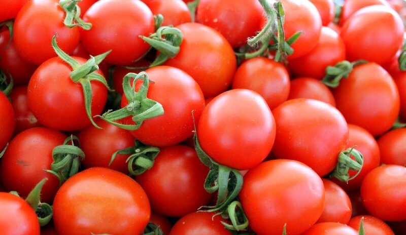 vyšniniai pomidorai numesti svorio